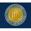 Picture of Double Yellow-Gold Filled Averett University Nursing Pin