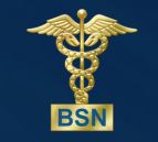Picture of Pin Guard - BSN Caduceus