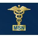 Picture of Yellow-Gold Plate MSN Block Guard