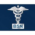Picture of 10K White-Gold BSN Caduceus Pin Guard